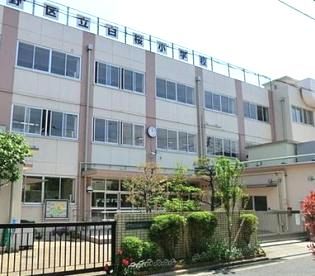 中野区立白桜小学校の画像