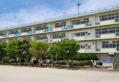 鷹野小学校の画像