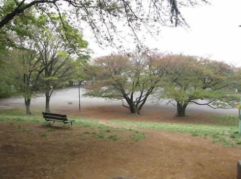 鷺沼公園の画像