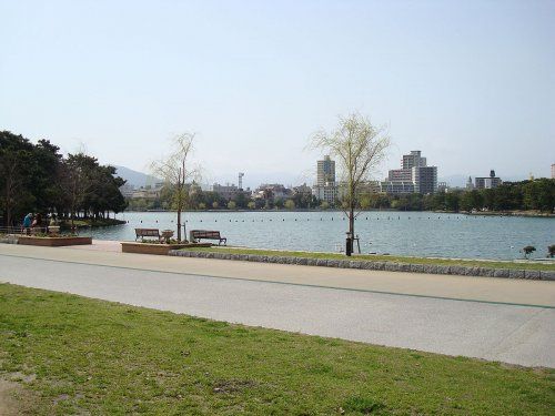 大濠公園の画像