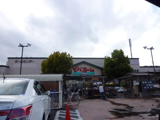 ビバホーム柏増尾台店の画像