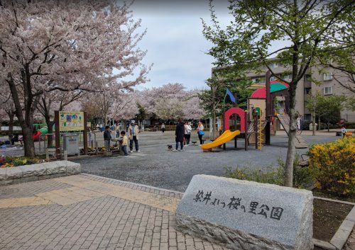 染井吉野桜記念公園の画像