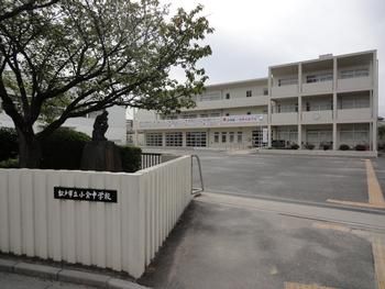 松戸市立小金中学校の画像