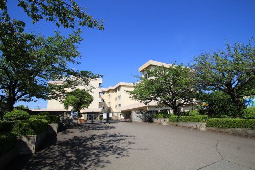 海老名市立杉本小学校の画像