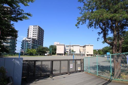 海老名市立柏ケ谷小学校の画像