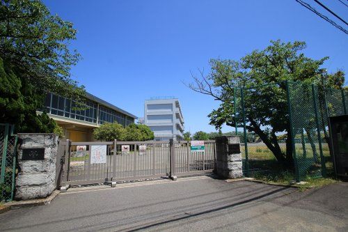 海老名市立門沢橋小学校の画像