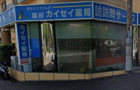 園田カイセイ薬局の画像