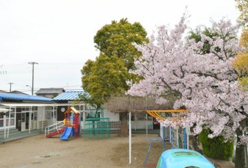 つぼみ幼稚園の画像