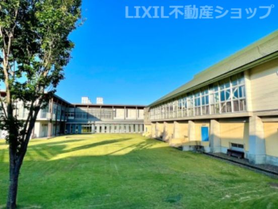 妙高市立新井小学校の画像