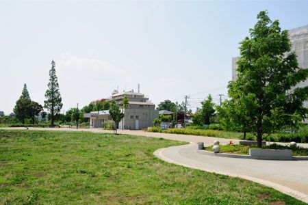 桃井原っぱ公園の画像