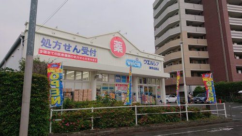 ウエルシア練馬谷原店の画像