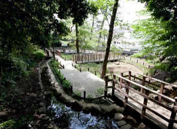 上野毛自然公園の画像