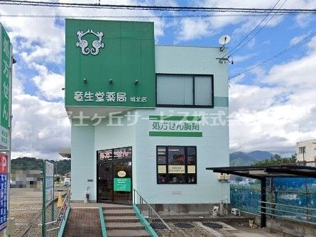 竜生堂薬局 城北店の画像