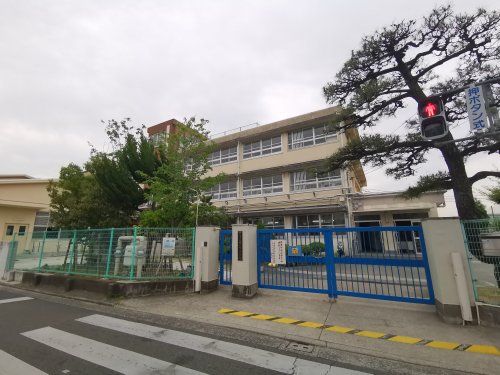 堺市立南八下小学校の画像