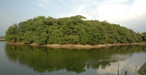 摩湯山公園の画像