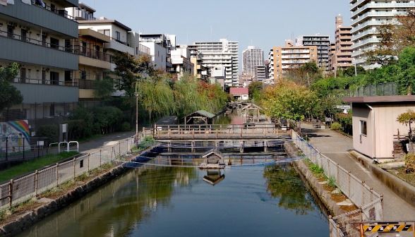 木場親水公園の画像