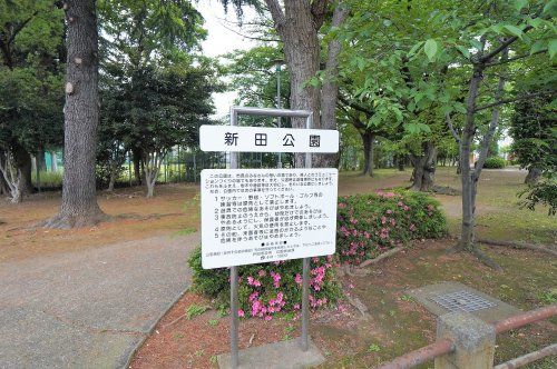 新田公園の画像