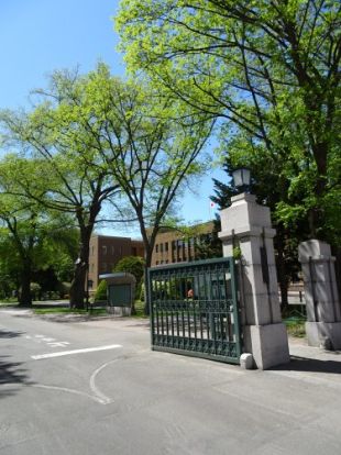 北海道大学正門の画像