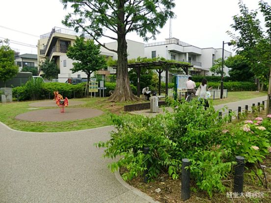 経堂大橋公園の画像