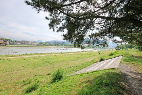 武庫川河川敷（宝塚市役所通り付近）の画像