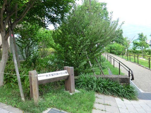 太子堂円泉ヶ丘公園の画像