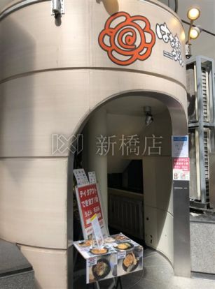 はなまるうどん+カレー銀座松屋通り店の画像