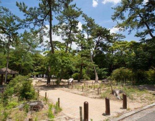 広田山公園の画像