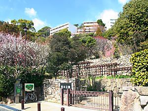 岡本公園の画像