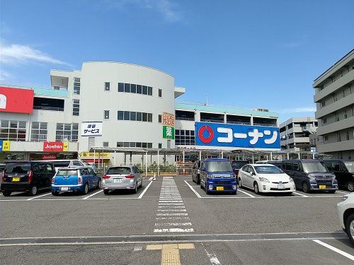 ホームセンターコーナン 堺三国ヶ丘店の画像
