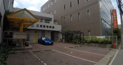 江坂動物病院の画像