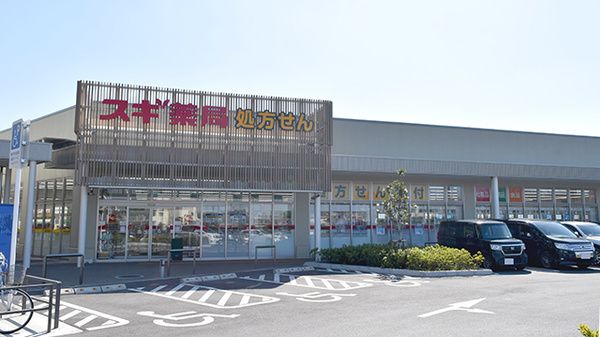 スギドラッグ フレスポ桶川坂田店の画像