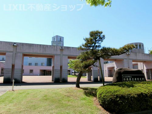 新潟県立看護大学の画像