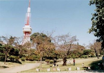 八幡山公園の画像