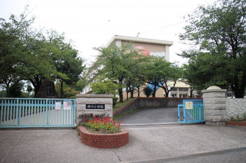 半田市立横川小学校の画像