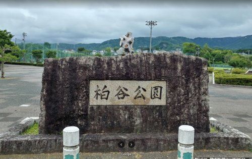 柏谷公園の画像