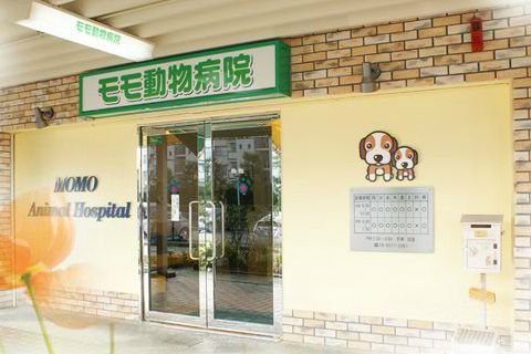 モモ動物病院の画像