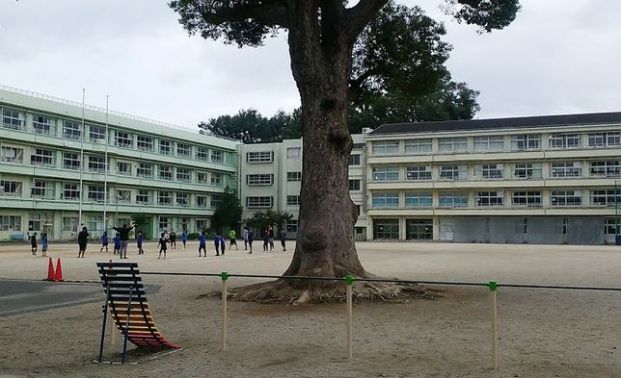 南毛利小学校の画像