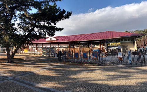 浜寺公園交通遊園の画像