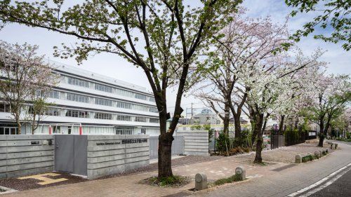 世田谷区立太子堂小学校の画像