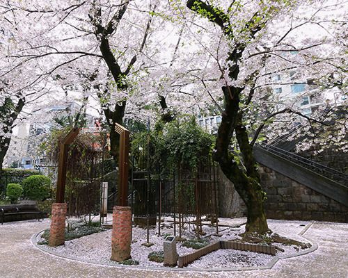 乃木公園の画像