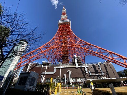 東京タワーの画像