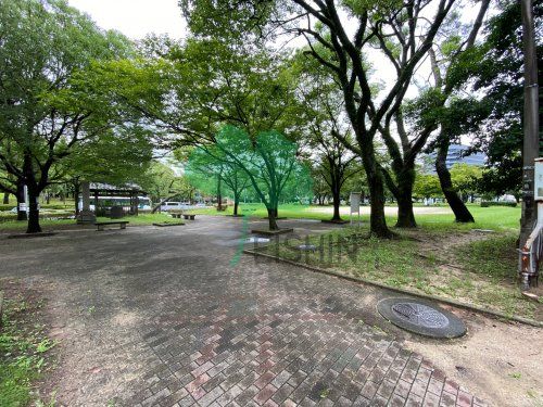 千代東公園の画像
