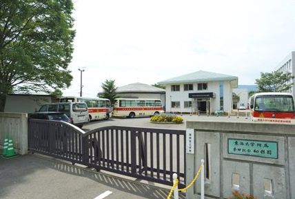 本田記念幼稚園の画像