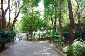 薬園坂緑地の画像