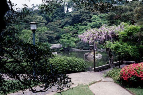綱町三井倶楽部庭園の画像