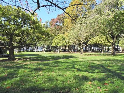 都立青山公園 北地区の画像