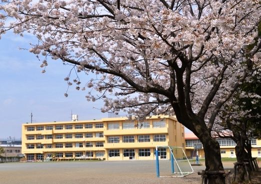 社家小学校の画像