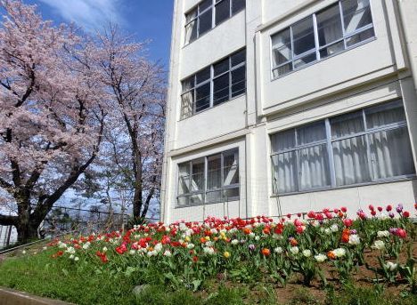 海老名中学校の画像