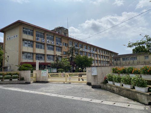 鹿児島市立西陵小学校の画像