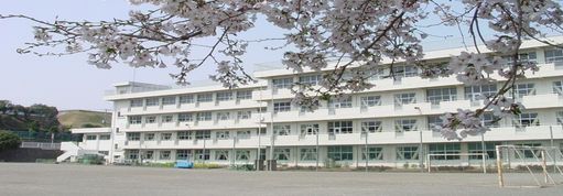 立野台小学校の画像